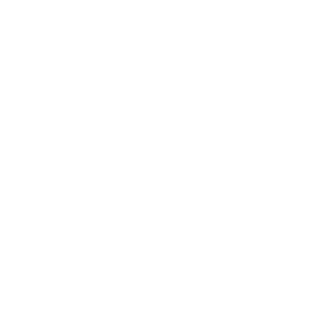 Logo Dominik Zerle weiss